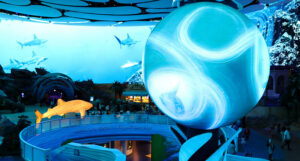 interior spaces and immersive environments